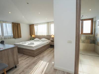 Picture Deluxe double room