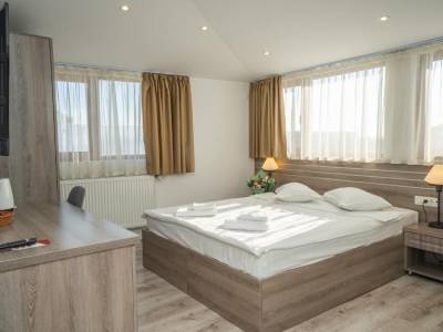 Picture Deluxe double room